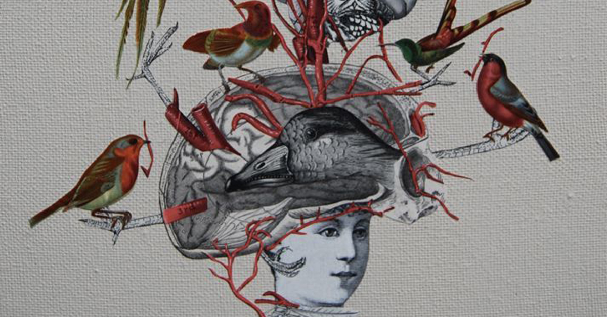 Hay pájaros en mi cabello