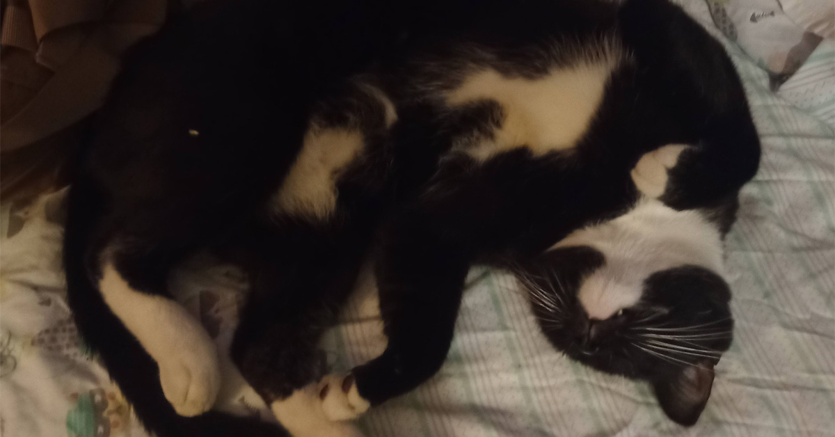 El dolor de la ausencia